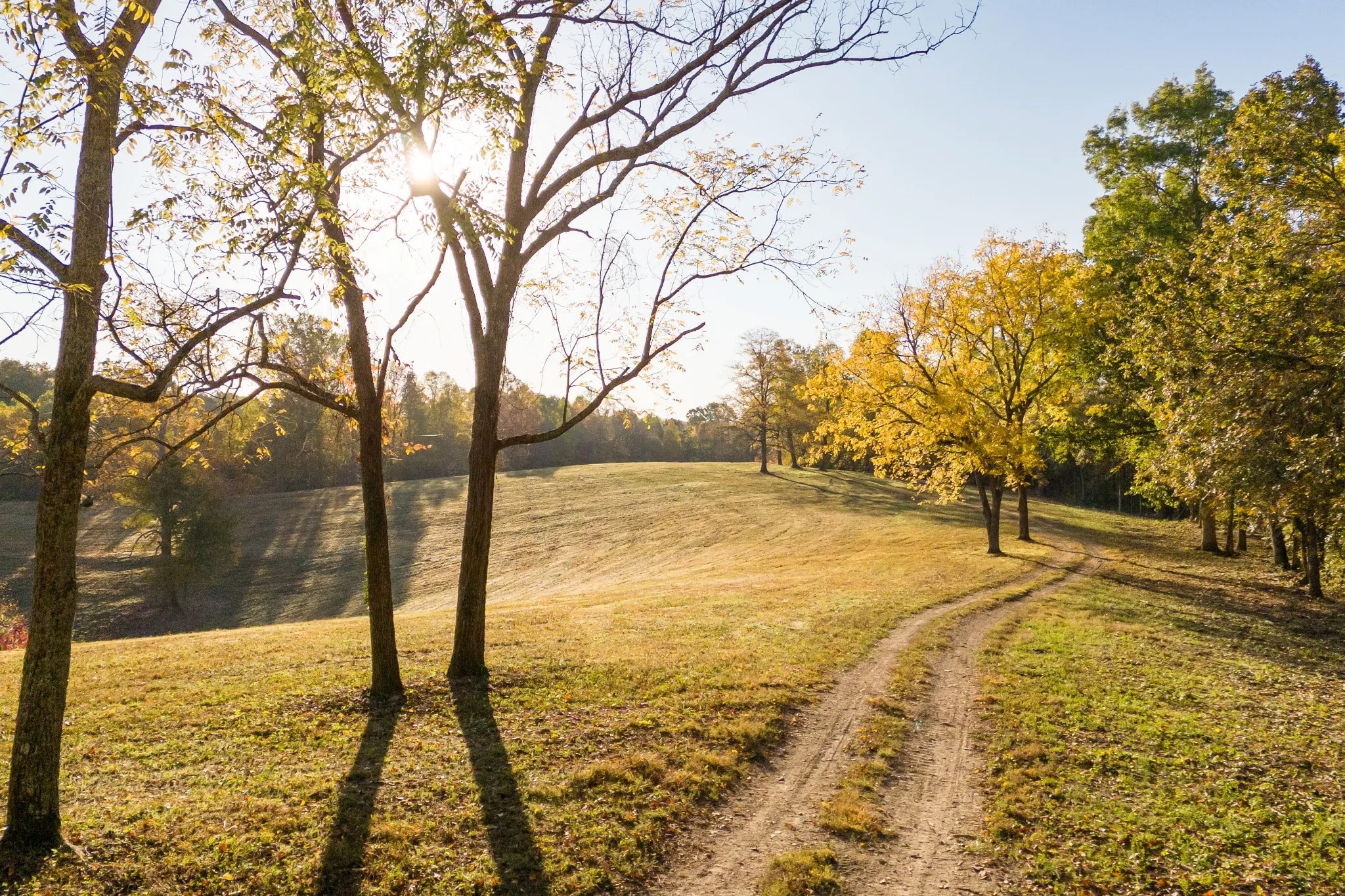 A dirt road in the hills of Brentwood, TN