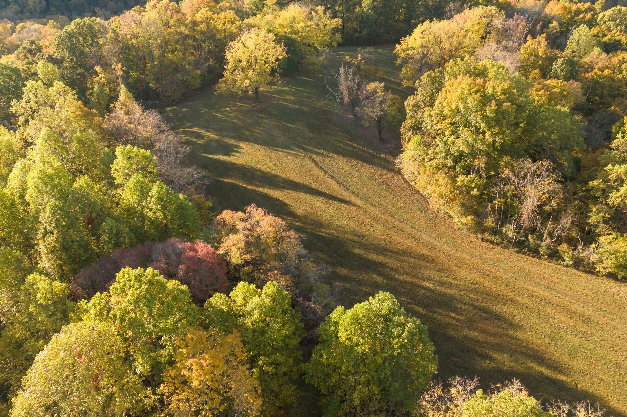 Land that could be developed by Hewn in the middle tennessee area