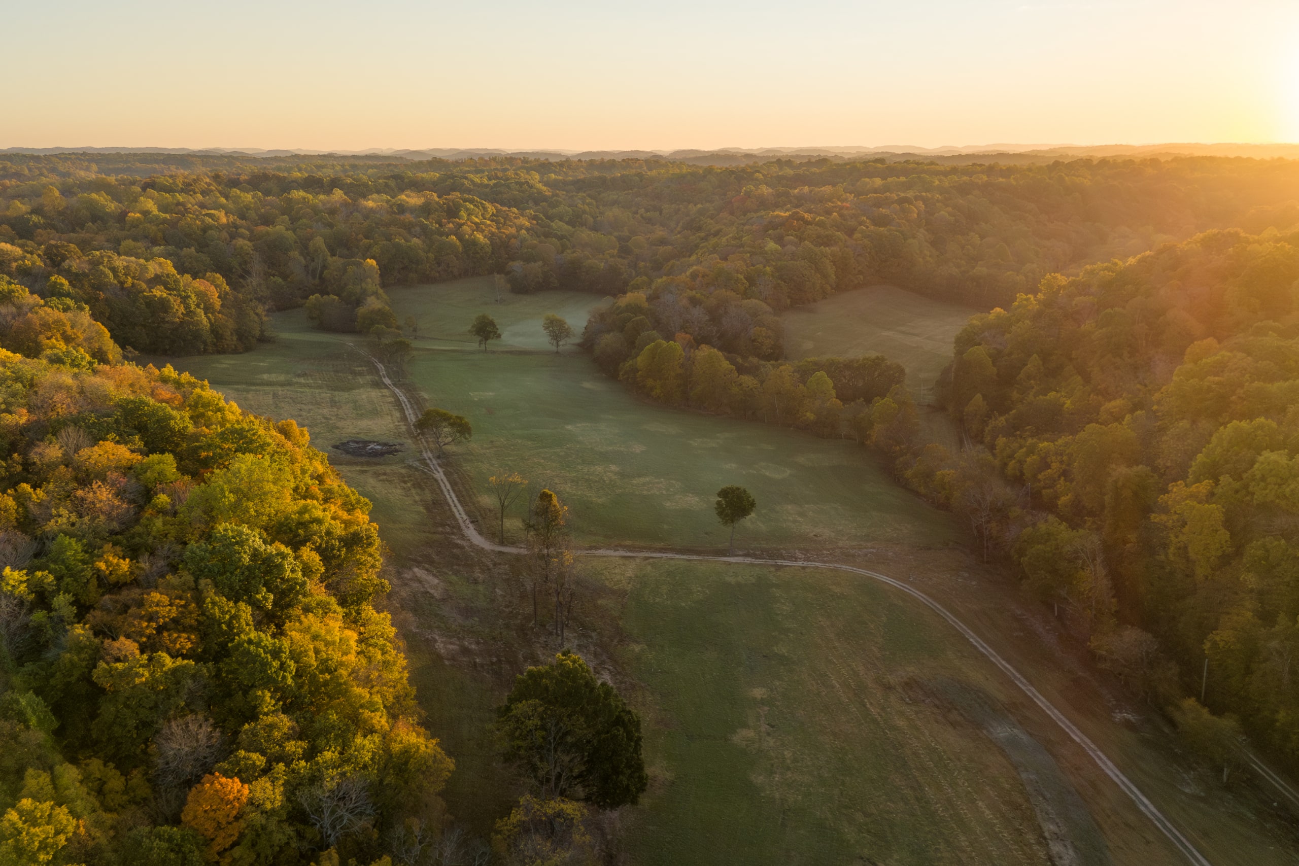 Blackbuck Properties - blackbuck properties